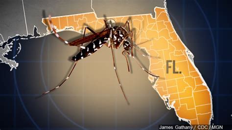 florida reports first sexually transmitted zika case in 2017