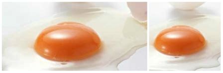 Variasi olahan telur merupakan salah satu menu favorit keluarga karena mudah didapat, murah dan sehat. Resep Cara Membuat Putih Telur Kukus | Aneka Resep Masakan Nusantara