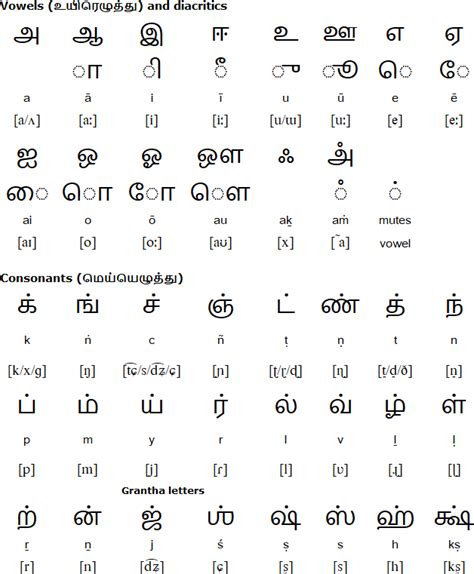 Tamil Alphabet Pronunciation And Language In 2023 Two Letter Words