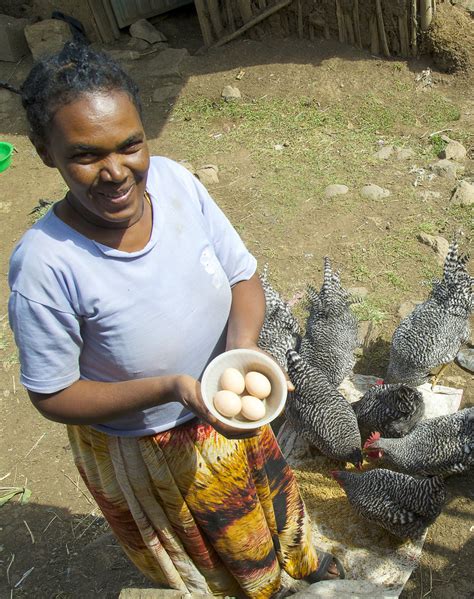 Empowering Women Through Poultry Woman Farmer With Eggs An Flickr