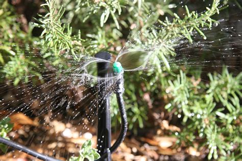 Irrigation Systems Automated Melbourne Landscaping