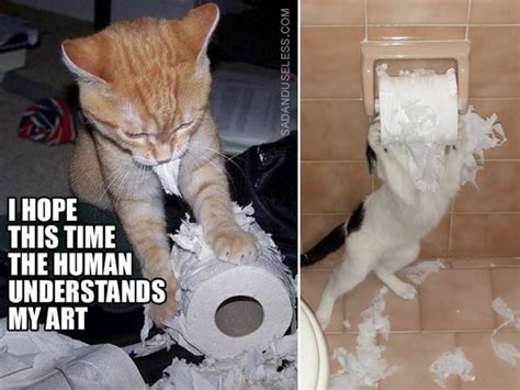 Cats And Toilet Paper Are Mortal Enemies Cats Funny Pictures Enemy