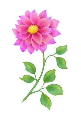 Here we have an exquisite antique pink clover with bees botanical image! Free Green Floral Cliparts, Download Free Clip Art, Free ...