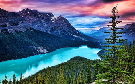 Download Wallpapers 4k Peyto Lake Sunset Banff National Park Forest