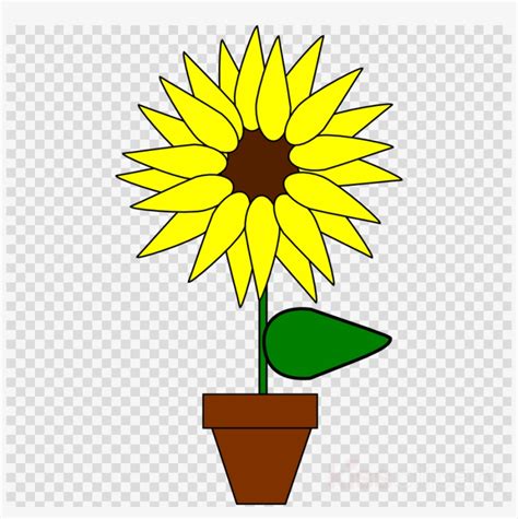Gambar animasi gerhana matahari gambar animasi gerhana matahari. Gambar Bunga Matahari Dalam Pot Kartun