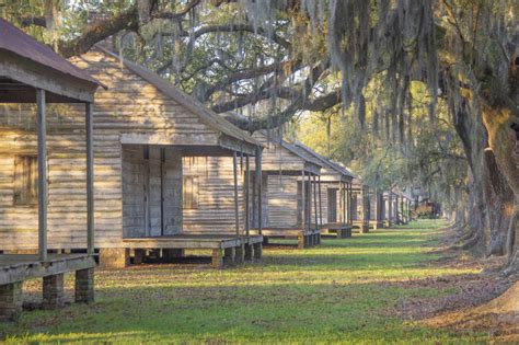 Slave Narratives Tell Plantation Story At Frogmore The Heart Of Louisiana