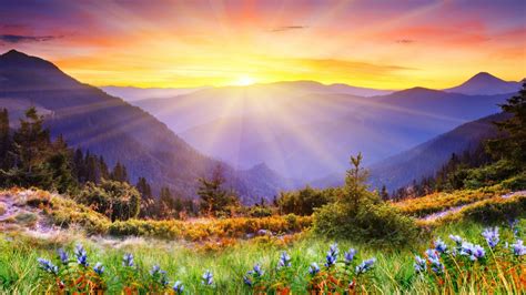 Magical Landscape Wallpapers Top Free Magical Landscape Backgrounds
