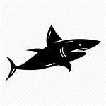 Icon Shark Sea Creature Danger Ocean Fish