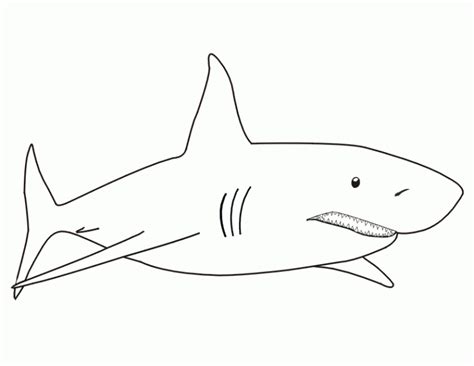 Coloriages Requin (Animaux) – Dessins à colorier – Coloriages à