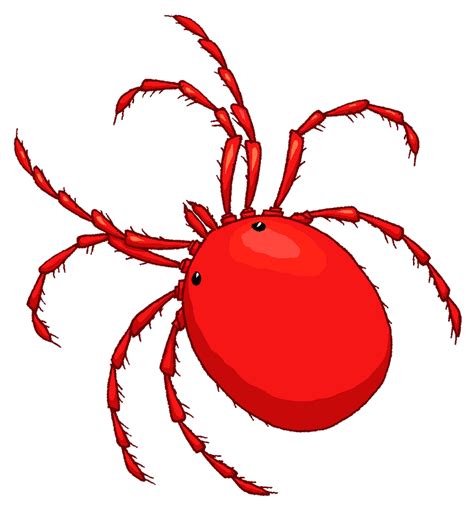 Water Mite Clipart By Misterbug On Deviantart
