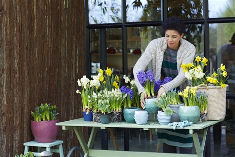 Les Plantes De Jardin Du Mois De F Vrier Les Bulbes Printaniers En