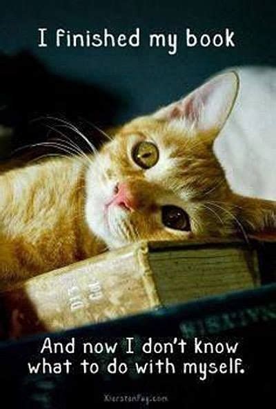 I Finished My Book Cats Book Lovers Cute Animals