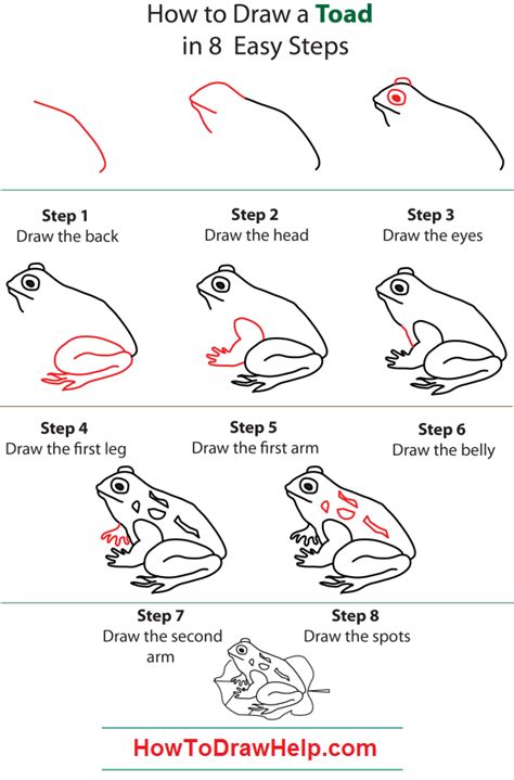 The two circles together should look like a mushroom, and they will form the frog's head and body. How to draw a Toad Step by Step Tutotrial | Drawings, Draw ...