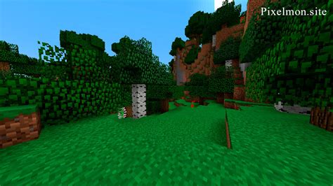 Forest Biome Pixelmon Reforged Wiki