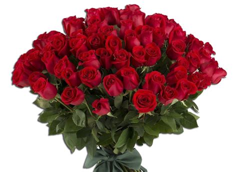 Splendido mazzo di 100 rose rosse a gambo lungo consegnate a mano anche in giornata e su appuntamento. Flowers Milano - Consegna fiori a domicilio Milano e ...