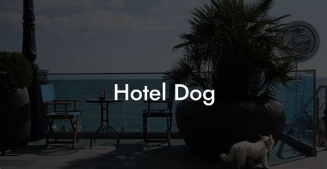 Hotel Dog - Dog Hotels