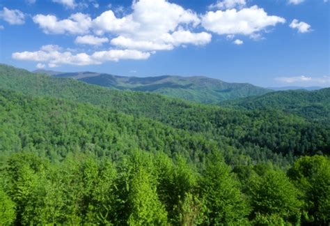 Sixteen National Forests Near National Parks National Forest Foundation