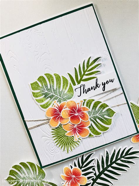 stampin up tropical chic card floral cards flower cards chic cards