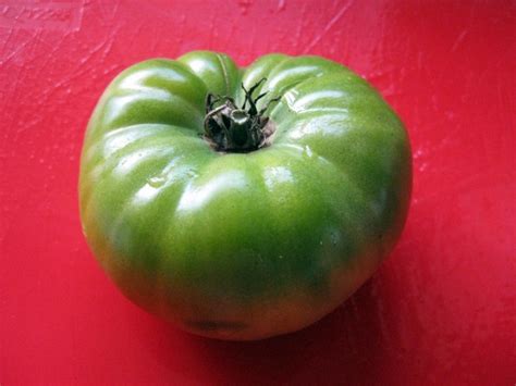 Tomato Green Giant Seeds Certified Organic Garden Hoard