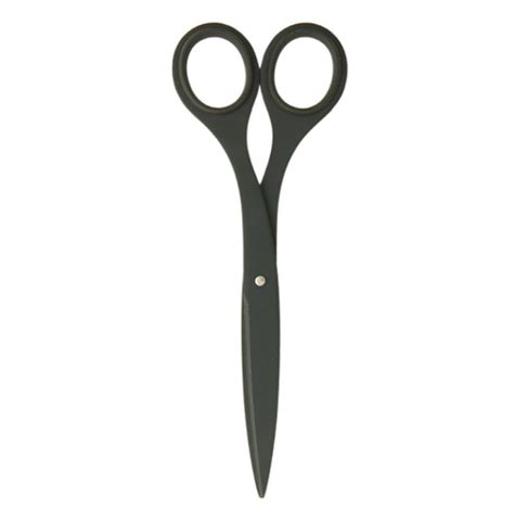 Allex Stainless Steel Scissors The Century House Madison Wi