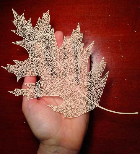 Woman Transforms Paper Into Incredibly Intricate Hand Cut Paper Art