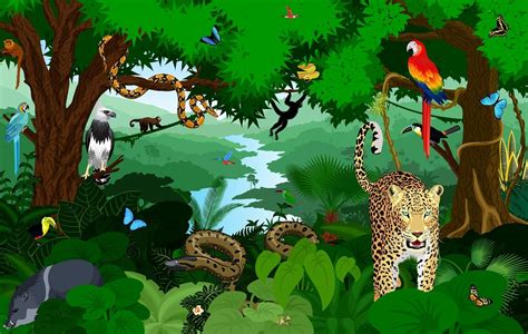 Animales De La Selva Concepto Caracter 237 Sticas Y Ejemplos Aria Art