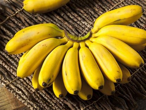 17 Types Of Bananas Different Varieties The Cart Food