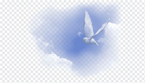 White Dove Illustration Holy Spirit Acts Of The Apostles Spiritual