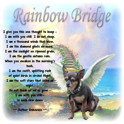 Free Printable Rainbow Bridge Poem For Dogs Printable Templates