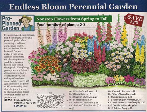 They germinate late summer on my zone 5 garden so i have to. Endless Bloom Perennial Garden Plan | Perennial garden ...
