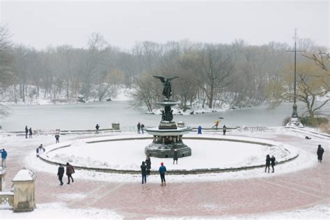 Photo Essays Snowfall In Central Park York Avenue