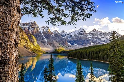 Travel and lifestyle inspiration from canada tag your photos with @canada to be featured. Alberta, Canada, lake, forest, Mountains - Beautiful views wallpapers: 1920x1280