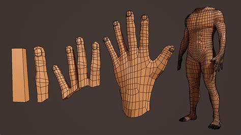Maya Hands And Feet Anatomia Braço Corpo Humano Modelagem 3d