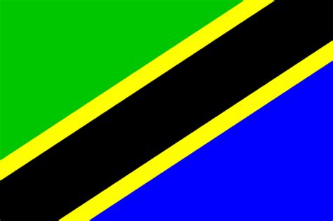 4 rows of lock stitching. Tanzania Flag: Interesting Facts You Might Not Know