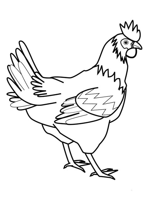 1024 x 725 · jpeg. Gambar Mewarnai Binatang Ayam | Collection Images