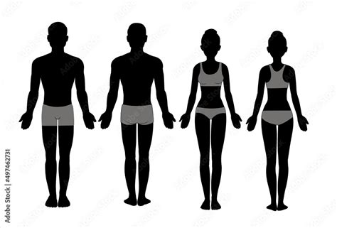 Male And Female Body Chart Silhouette Front And Back View Blank Human