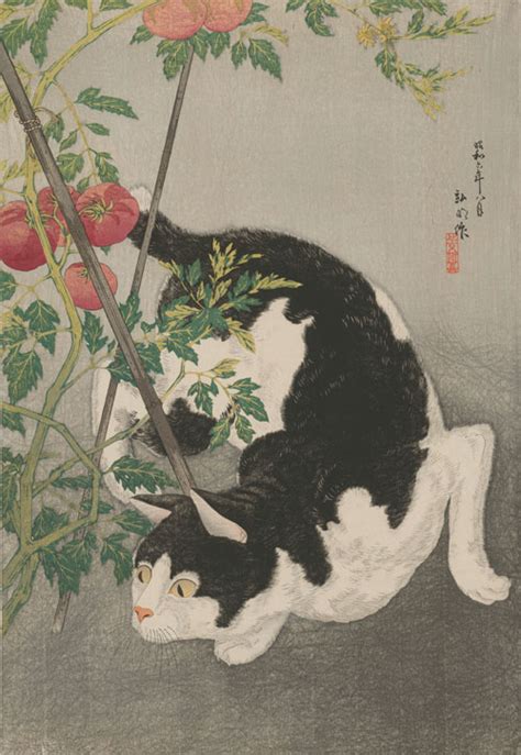Life Of Cats Selections From The Hiraki Ukiyo E Collection