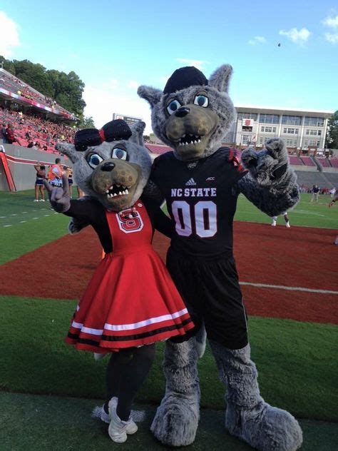 55 Nc State Mascots Ideas Nc State Mascot Nc State Wolfpack