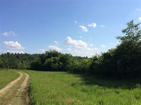 Large Acreage for Sale in Dolph Arkansas