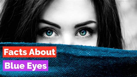Blue Eye Facts Romantic Shayari Shayari In Hindi Beautiful Eyes Eye
