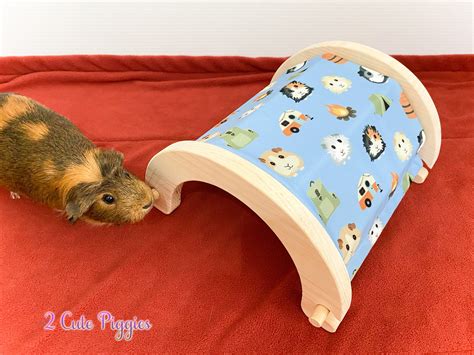 Wood Guinea Pig Tunnel Tunnel For Guinea Pigs Pet Bed Etsy