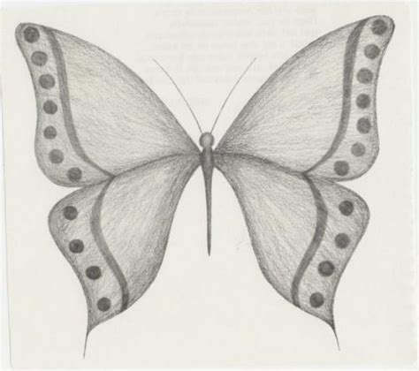 Cómo Dibujar Mariposas A Lápiz 】 Paso A Paso Muy Fácil 2024 Dibuja Fácil