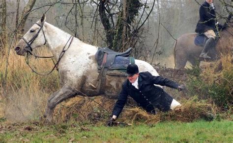 Equestrian Myth Vs Reality Horse Nation