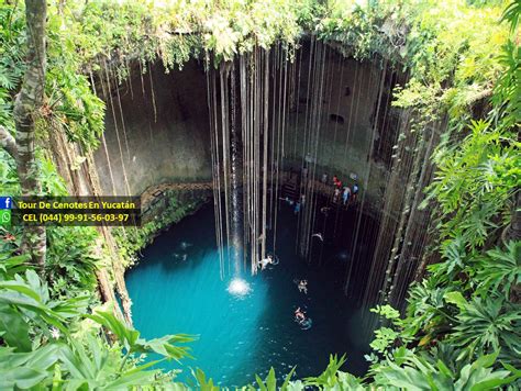 Los Cenotes De Yucatan Cenote Ik Kil