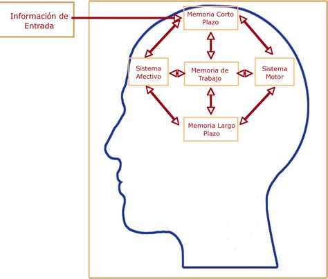 Psicologia Caracteristicas De Memoria Y Tipos De Memoria