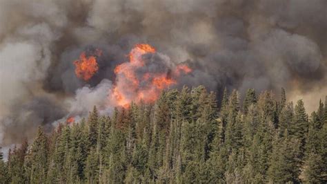 Crews Move To Protect Lowman Structures As Pioneer Fire Grows Idaho