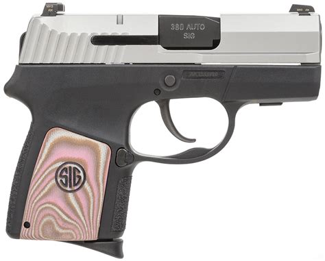 Handgun Review The Sig Sauer P290