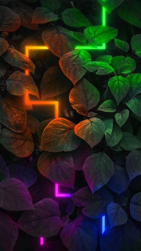 Download and share awesome cool background hd mobile phone wallpapers. Neon Nature iPhone Wallpaper - iPhone Wallpapers : iPhone ...