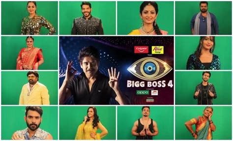 Bigg Boss Telugu 4 Meet 16 Contestants Of Nagarjunas Show Entertainment Gallery News The