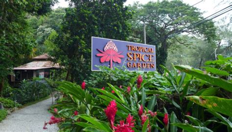 Over 500 species of flora, fauna, spices & herbs to discover. Penang Island Tropical Spice Garden + Cooking Class - D ...